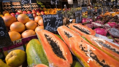 papaya gastrolab (1).png